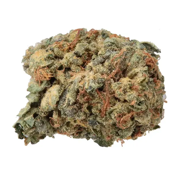 Bud image for No. 418 Big Dipper, cannabis dried flower by Haven St. Premium Cannabis