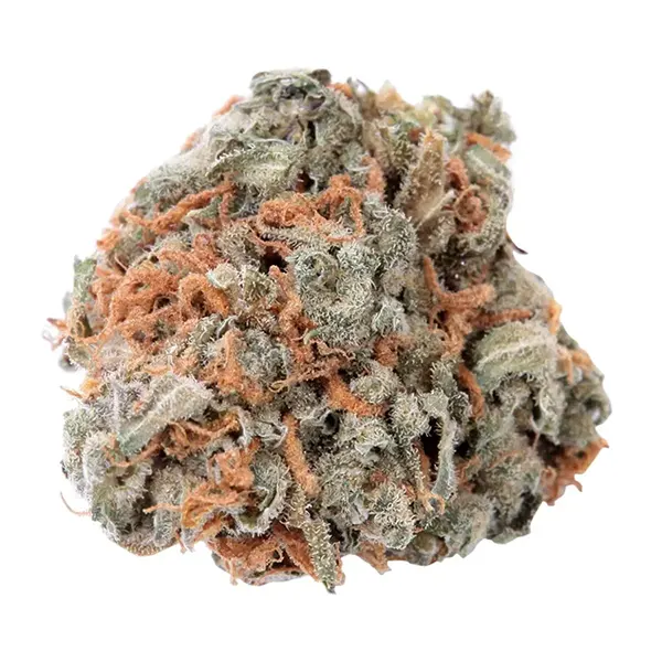 Bud image for No. 417 Indigo Daze, cannabis dried flower by Haven St. Premium Cannabis