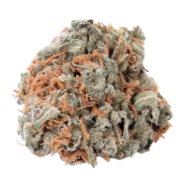 Bud image for No. 417 Indigo Daze, cannabis all categories by Haven St. Premium Cannabis