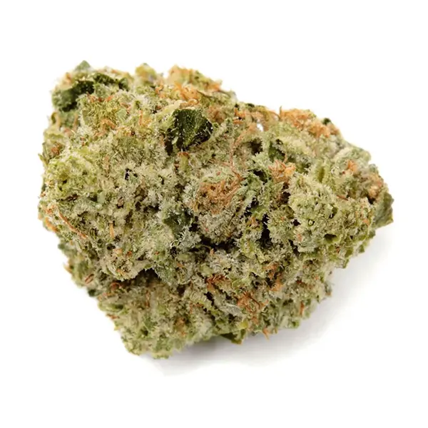 No. 405 Kaleidoscope (Dried Flower) by Haven St. Premium Cannabis