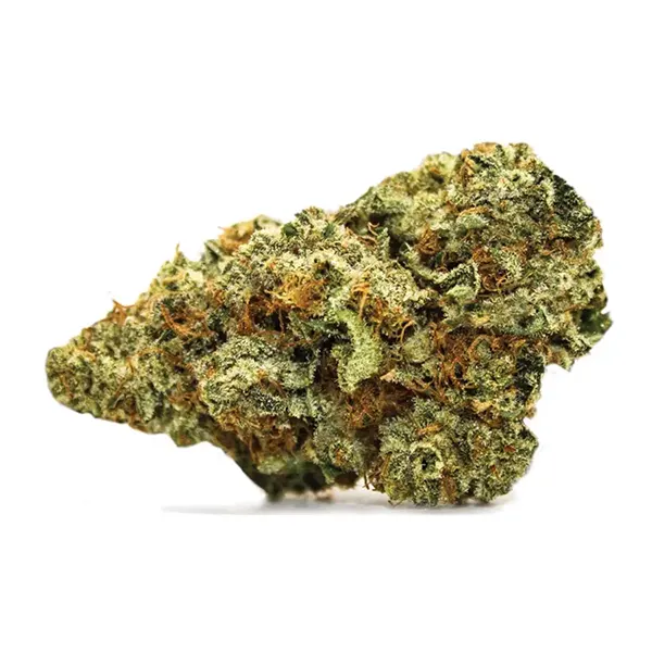 Product image for Reflect, Cannabis Flower by Cove