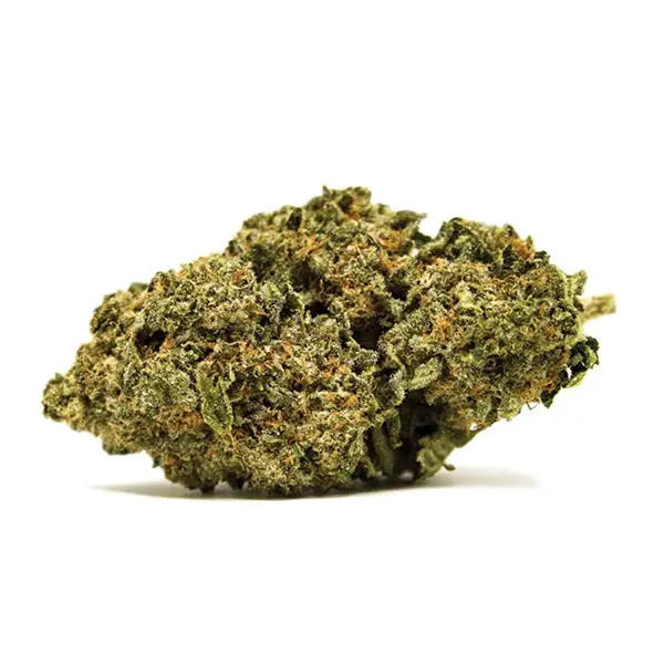 Product image for Rest, Cannabis Flower by Cove