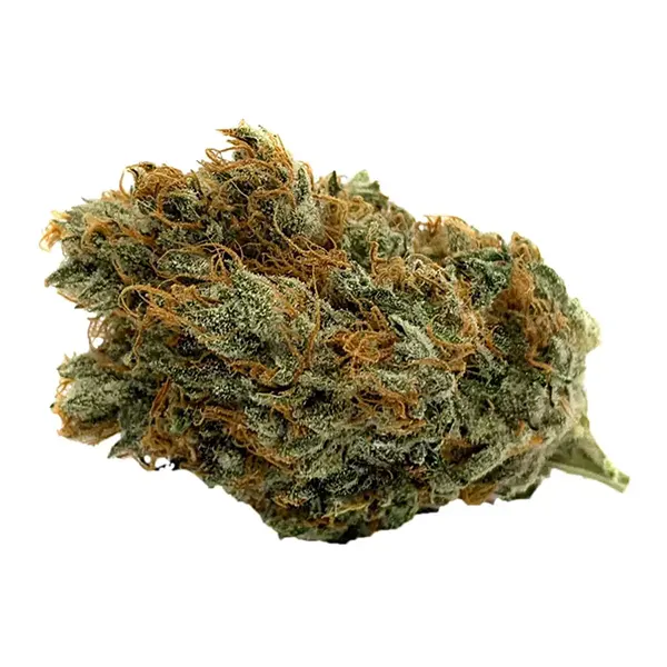 Bud image for Strawberry Fire OG, cannabis all categories by Gage Cannabis