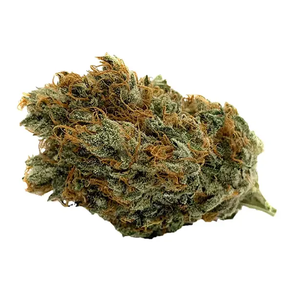 Product image for Strawberry Fire OG, Cannabis Flower by Gage Cannabis