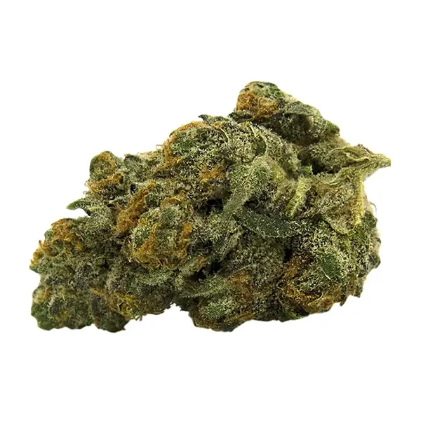 Product image for Orange CKS, Cannabis Flower by Gage Cannabis