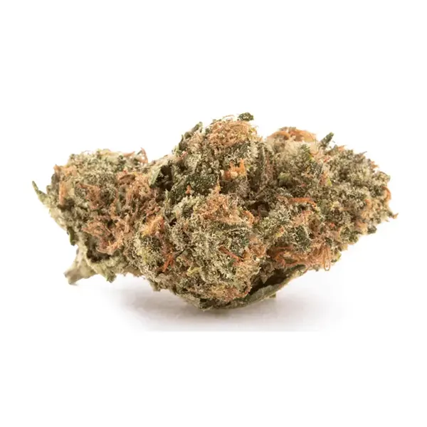 Product image for Shishkaberry, Cannabis Flower by Vertical