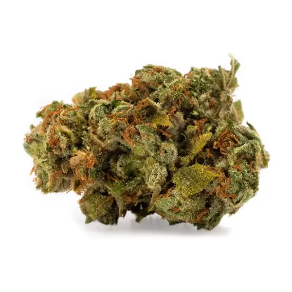 Product image for Chocolate Fondue, Cannabis Flower by DNA Genetics