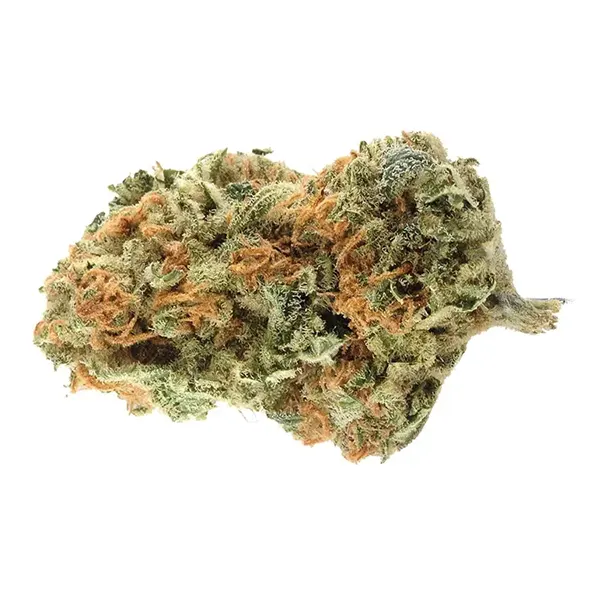 Product image for Northern Lights, Cannabis Flower by Royal High