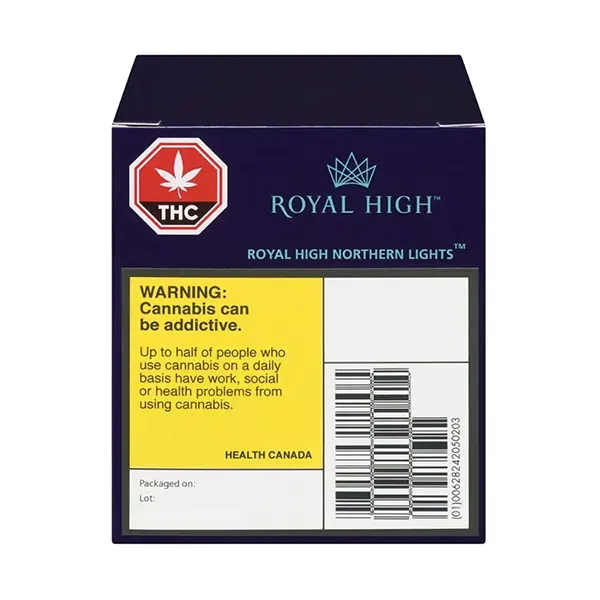 Northern Lights (Dried Flower) by Royal High
