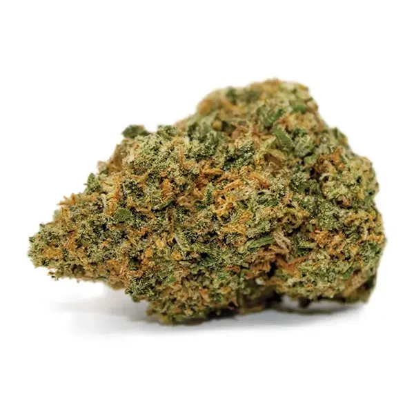 Bud image for Rise Reserve, cannabis dried flower by Cove