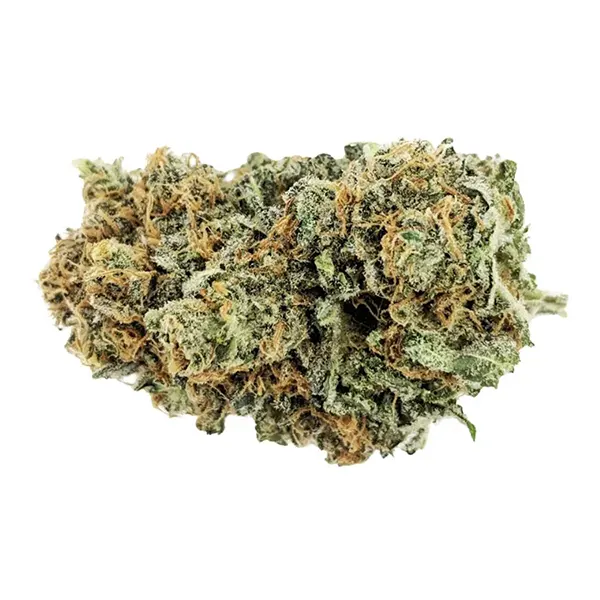 Product image for Lemon Z, Cannabis Flower by Emerald