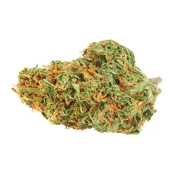 Product image for Ultra Sour, Cannabis Flower by Seven Oaks