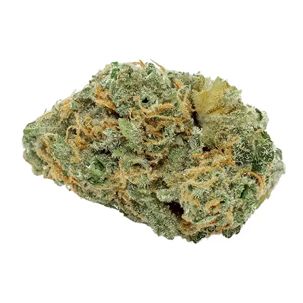 Product image for BC Lemon Thai Kush, Cannabis Flower by Flowr