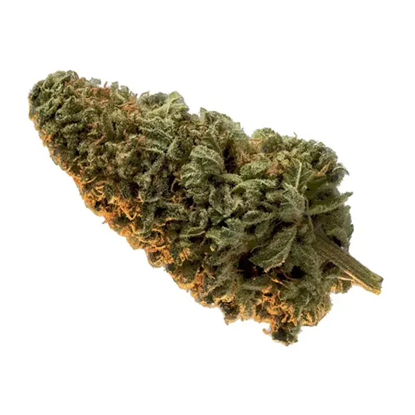 Product image for Casablanca Reserve, Cannabis Flower by Edison Reserve