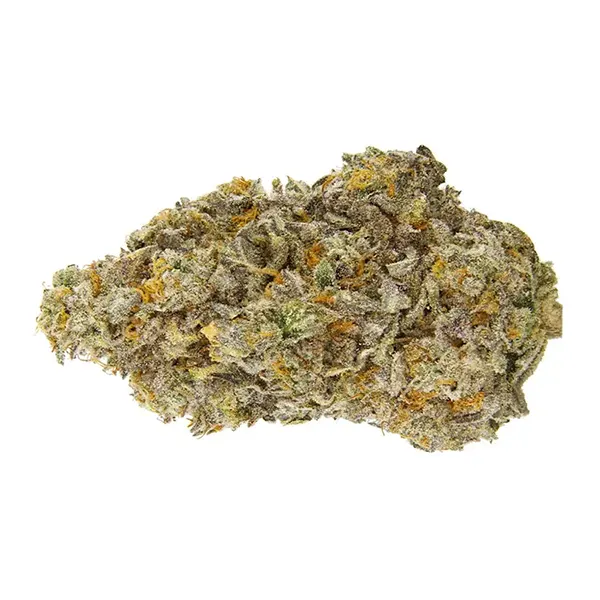 Ice Qwest (Dried Flower) by Qwest Reserve
