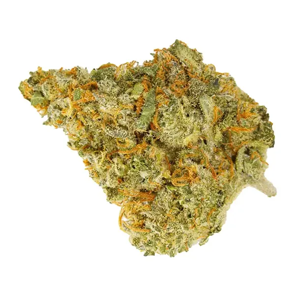 Plant Bud by Whistler Cannabis Co