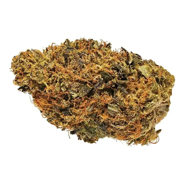 Organic Bubba Kush (Dried Flower) by Whistler Cannabis Co
