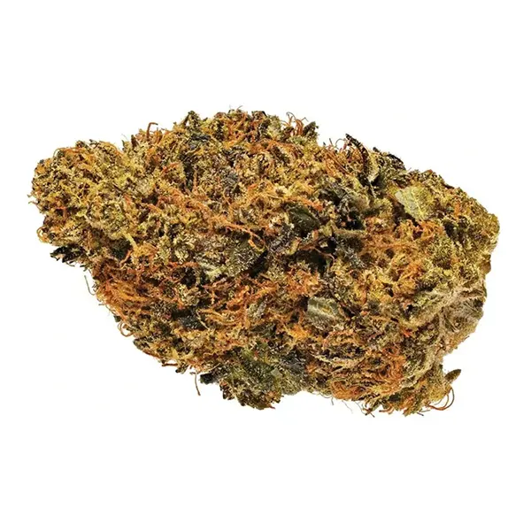 Bud image for Organic Bubba Kush, cannabis dried flower by Whistler Cannabis Co