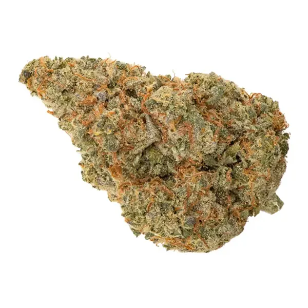 Organic Blue Jack City (Dried Flower) by Whistler Cannabis Co
