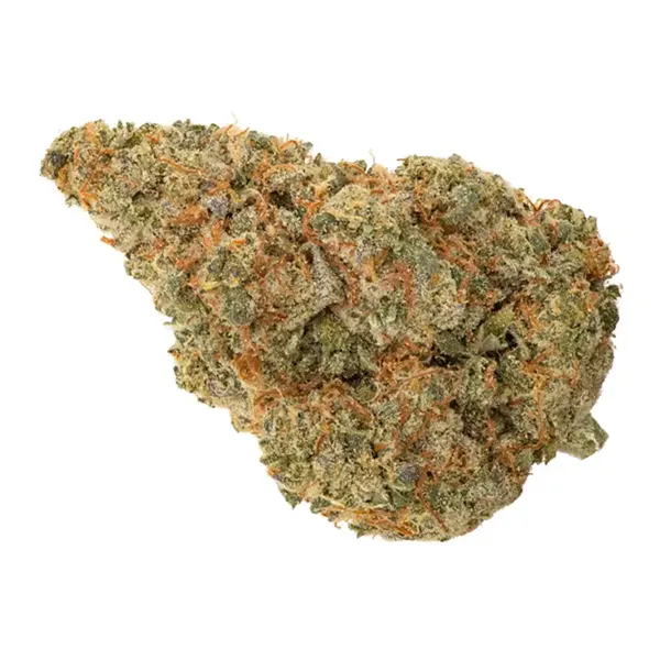 Bud image for Organic Blue Jack City, cannabis all categories by Whistler Cannabis Co