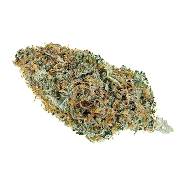 Product image for Sour Jack, Cannabis Flower by Whistler Cannabis Co