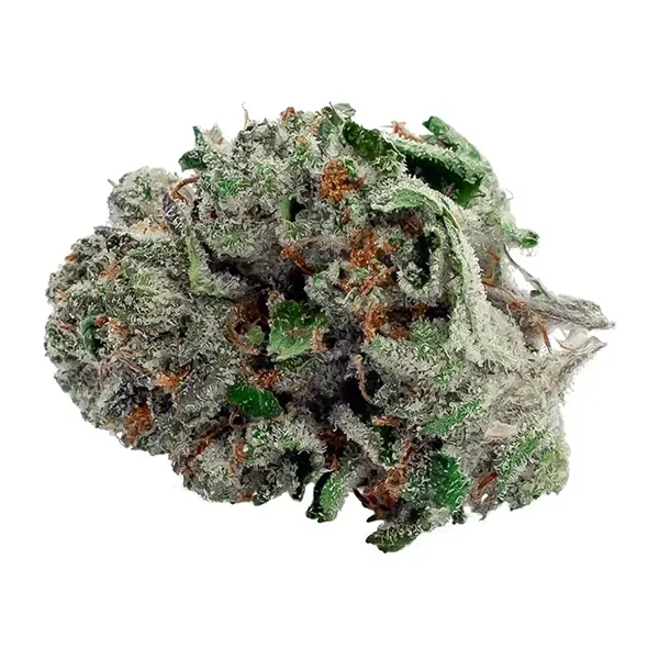 Product image for BC Pink Kush, Cannabis Flower by Flowr