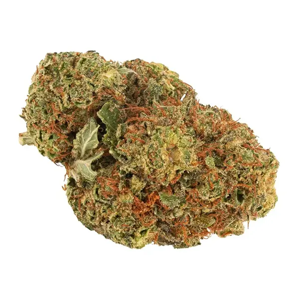 Product image for Daily Special Indica, Cannabis Flower by Aurora