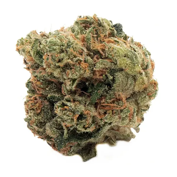 Bud image for Durga Mata 2, cannabis dried flower by Namaste