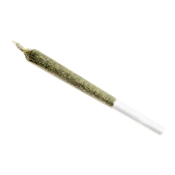 Image for Jean Guy Pre-Roll, cannabis all categories by Good Supply