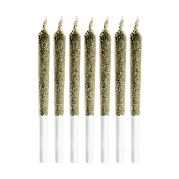 Jean Guy Pre-Roll (Pre-Rolls) by Good Supply