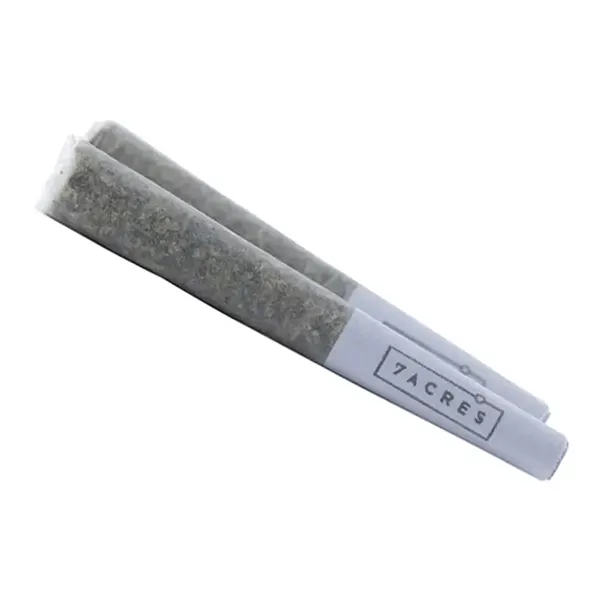 Image for Sensi Star Pre-Roll, cannabis all categories by 7Acres
