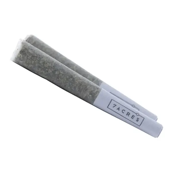 Sensi Star Pre-Roll