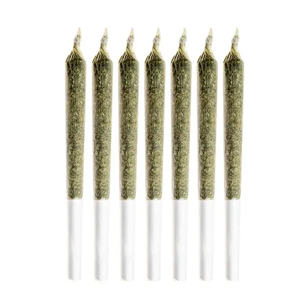 Royal Highness Pre-Roll (Pre-Rolls) by Good Supply