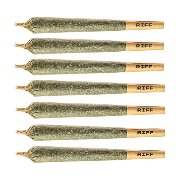 Sunday Special Pre-Roll (Pre-Rolls) by RIFF