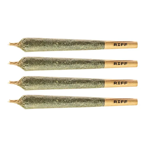 DT81 Pre-Roll (Pre-Rolls) by RIFF