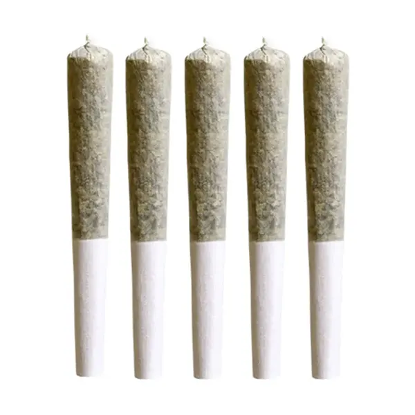 Saturday Night Pre-Roll (Pre-Rolls) by Saturday