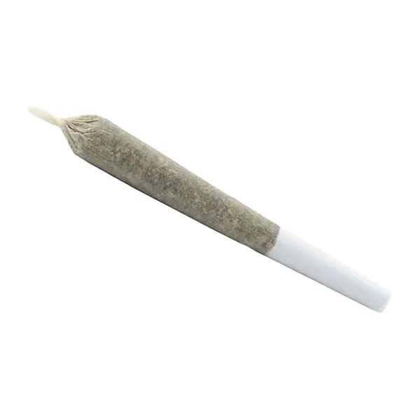 Lift Citrus Punch Pre-Roll (Pre-Rolls) by Sundial