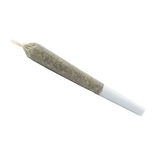 Image for Lift Citrus Punch Pre-Roll, cannabis all products by Sundial