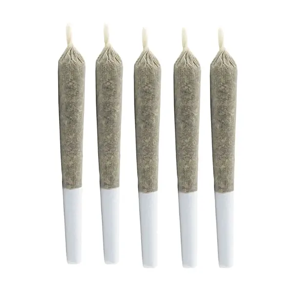 Lift Citrus Punch Pre-Roll (Pre-Rolls) by Sundial