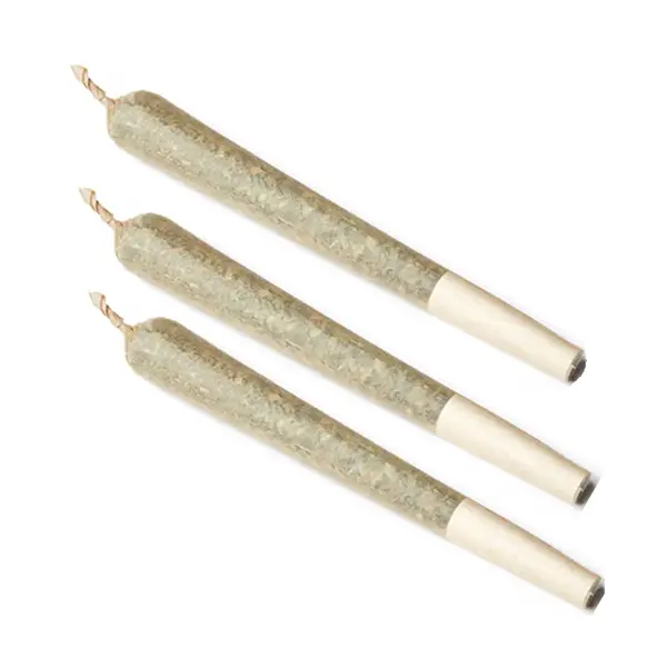 Image for Trainwreck Pre-Roll, cannabis all products by Gage Cannabis