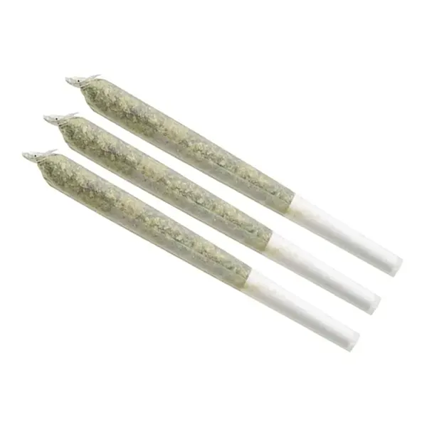Product image for Hash Plant Pre-Roll, Cannabis Flower by Emerald