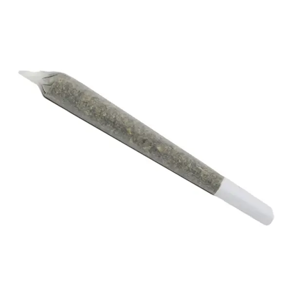 Product image for Tangerine Dream Pre-Roll, Cannabis Flower by Canna Farms