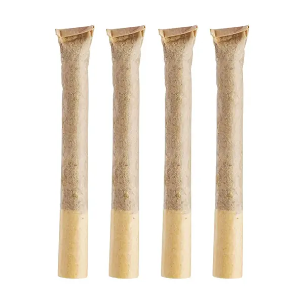 Sour Jack Pre-Roll (Pre-Rolls) by Whistler Cannabis Co