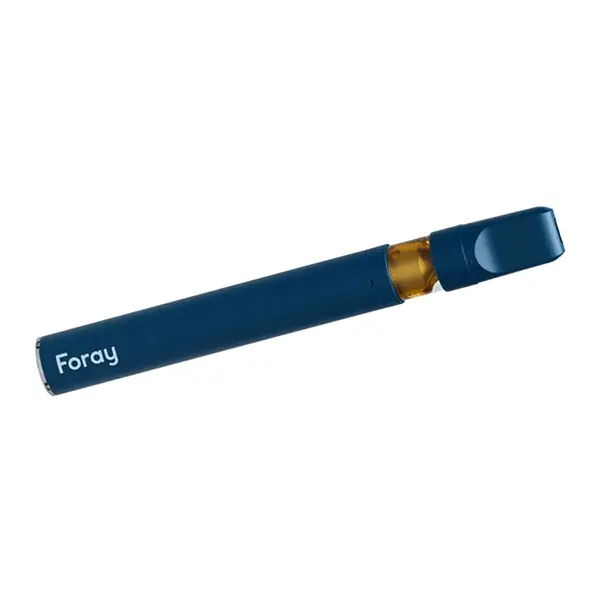 Mango Haze Balanced Disposable Pen (Disposable Pens) by Foray