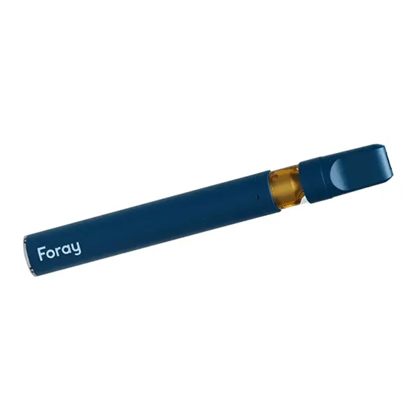 Blackberry Cream Indica Disposable Pen (Disposable Pens) by Foray
