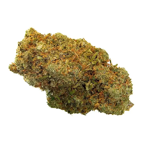 Bud image for BC Organic Blue Dream, cannabis all categories by Simply Bare