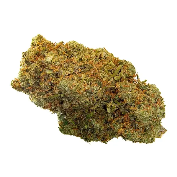 Bud image for BC Organic Blue Dream, cannabis dried flower by Simply Bare