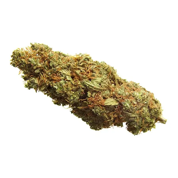 Product image for BC Organic Creek Congo, Cannabis Flower by Simply Bare