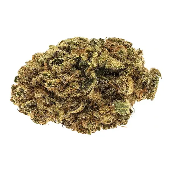 Product image for Blue Ninety Eight, Cannabis Flower by RIFF