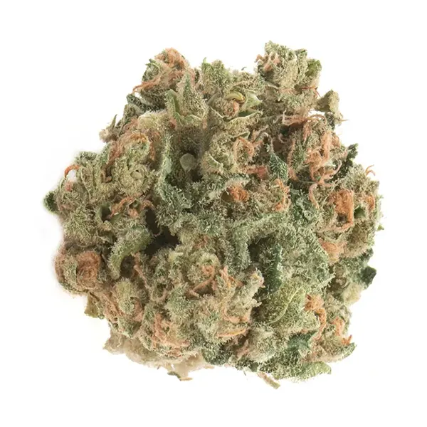 Product image for Citrique, Cannabis Flower by Namaste